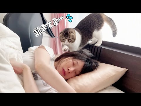 ママを起こすのに失敗した猫はこうなります…涙 - YouTube
