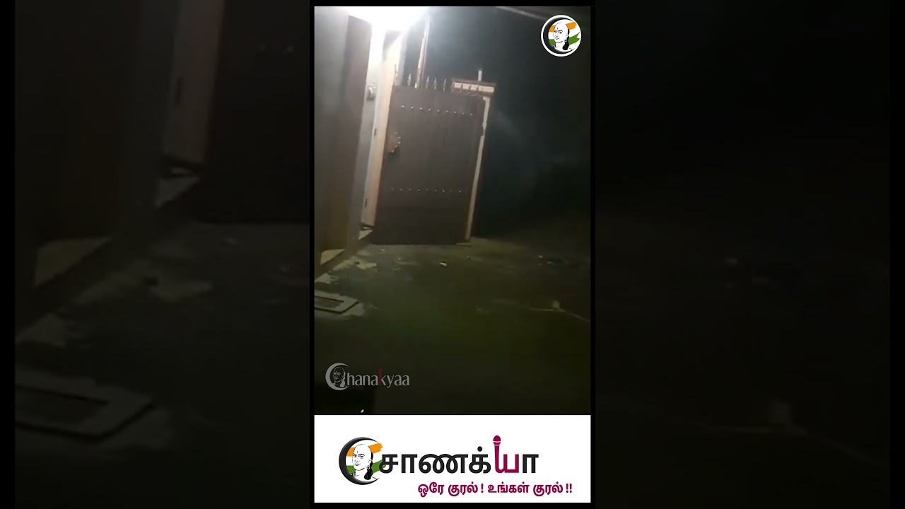 #shorts வீட்டின் கதவை திறந்து வாழைத்தாரை எடுத்துச் செல்லும் காட்டு யானை | Coimbatore