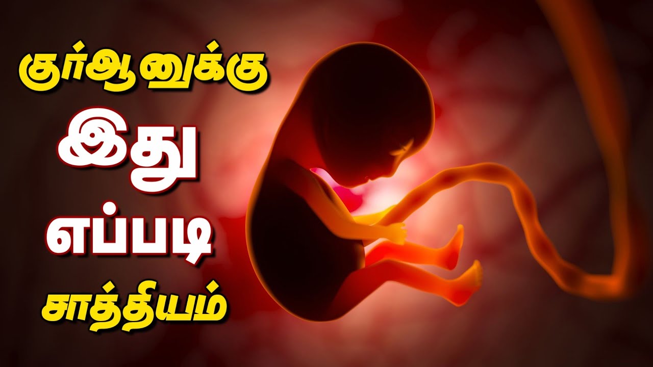 குழந்தையின் பாலினத்தை தீர்மானிப்பது தாயா தந்தையா? | Gender of a Baby | Quran miracle Part 17 OWQuran