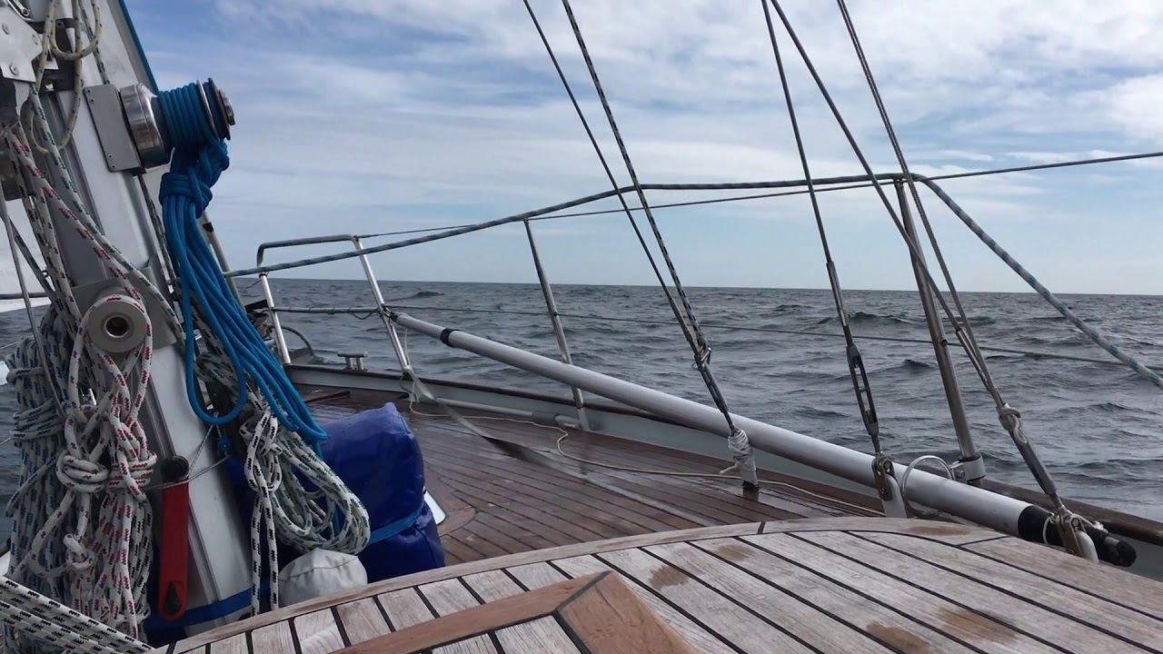 Koopmans 33 Dommelaer