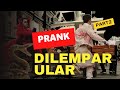 Prank hantu jahil di lempar ular part2 auto k4get