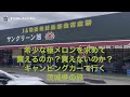 極メロンを求めてキャンピングカーで行く茨城県日帰り旅行