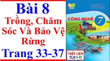 Công Nghệ 7 Bài 8 | Trồng Chăm Sóc Và Bảo Vệ Rừng | Trang 33 – 37 | Kết Nối Tri Thức
