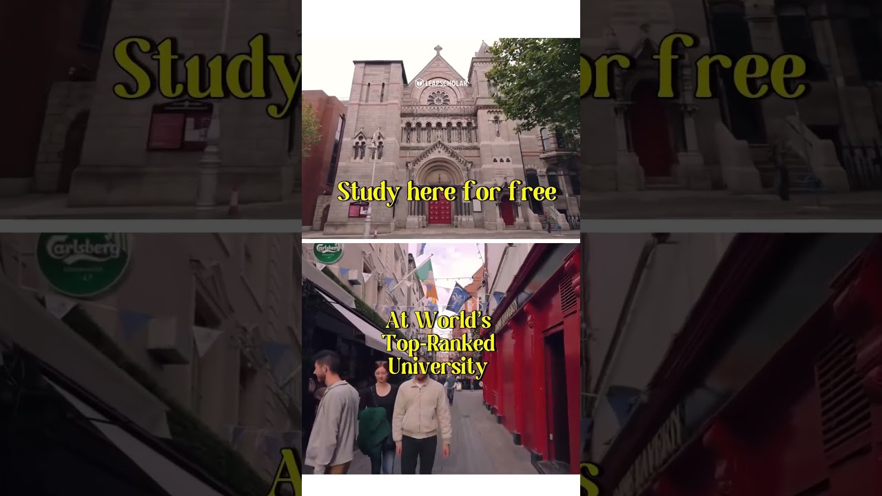 University College Dublin | Scholarship in Ireland | UCD | How to Study Abroad for Free 