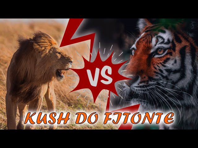 LUANI VS TIGRI! Kush Do Fitonte Në Një DYLUFTIM | ALB EXPLORER class=