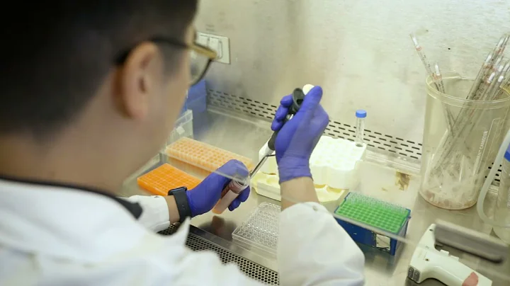 Scientists Discover a Cause of Lupus and a Possible Way to Reverse It