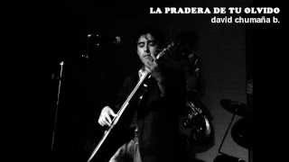 Video thumbnail of "LA PRADERA DE TU OLVIDO_David Chumaña Burbano (Promocional)"