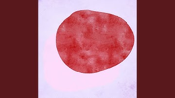 Magical Forgetting The Time