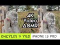 OnePlus 9 Pro vs. iPhone 13 Pro 4K Video Comparison // ASMR // Nature Walk