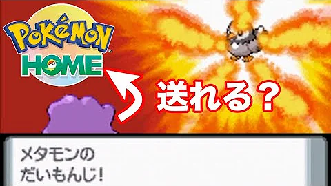 تحميل パール バグ