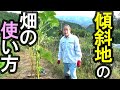 傾斜地の畑の使い方