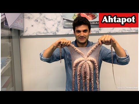 Video: Ahtapot Necə Bişirilir