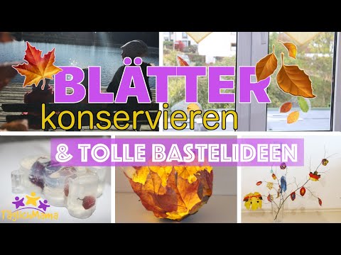 🍂 Blätter konservieren & tolle Bastelideen / DIY Herbstdeko