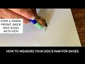 How to measure your dogs paw for dog shoes