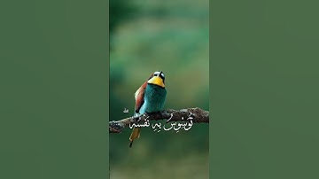 الشيخ عبدالباسط عبدالصمد سورة ق