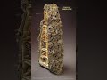How Termites Build Air-Conditioned Megacities Underground.