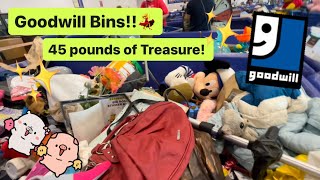 Let’s Go To Goodwill Bins! I Bought 45 Pounds & Found Designer Bags! Thrift With Me! +HAUL