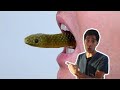 Top New Zach King Funny Magic Vines 2022  - Best Magic Tricks Ever #5