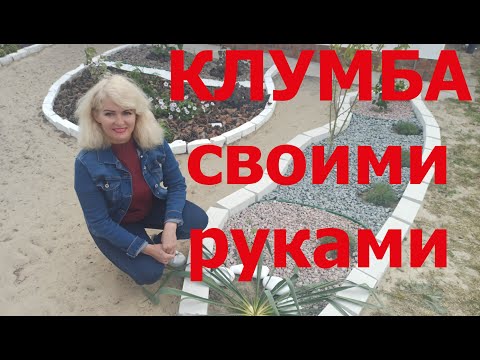 Video: Гвоздика: түрлөрү жана сорттору