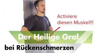 Bauchmuskeltraining | Der Heilige Gral | Hohlkreuz beseitigen, Rückenschmerzen wegtrainieren