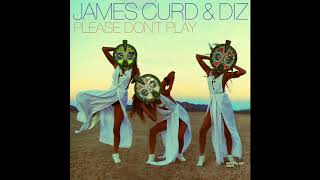 James Curd & Diz -  Please Don't Play (Instrumental) RPM018