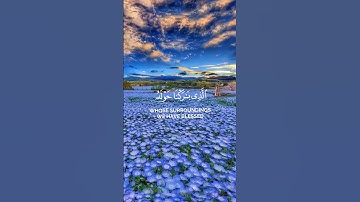 ❤ سورة الإسراء -  ياسر الدوسري