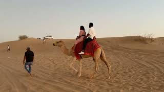 Desert Safari Dubai | Dune Bashing, Camel Ride, BBQ Dinner & More | Book Your Adventure Now!