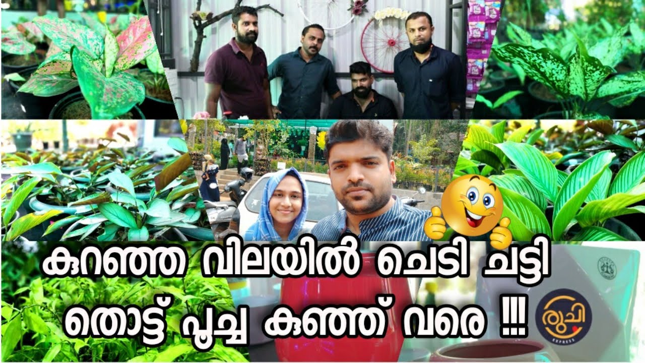 ഇവിടം സ്വർഗ്ഗമാണ് Indoor Plants and Outdoor Plants in Kerala Garden