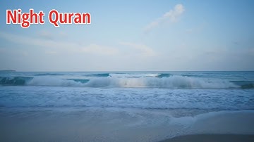 صوت هادئ ومريح للاعصاب || الشيخ سلمان العتيبي || سورة المجادلة