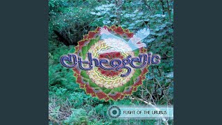 Download Lagu Microcondian MP3