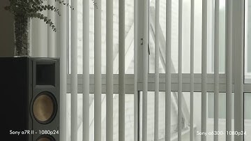 Rolling shutter test Sony a6300 vs Sony a7R II Bearbeitung