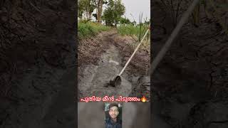പുതിയ മീൻ പിടുത്തം#mallutraveler#fishingfreaks#shortsX#mallu#malayalam#m4tech#fishin