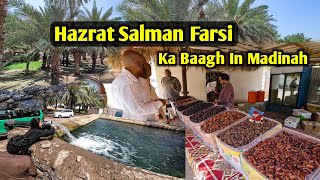Hazrat Salman Farsi Ka Baagh In Madinah | Huzoor ﷺ Ne Yahan 300 Tree's 🌳 Lagaye 😍