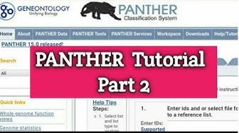 Panther Youtube