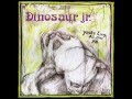 Dinosaur Jr. - You're Living All Over Me (Private Remaster) - 02 Kracked