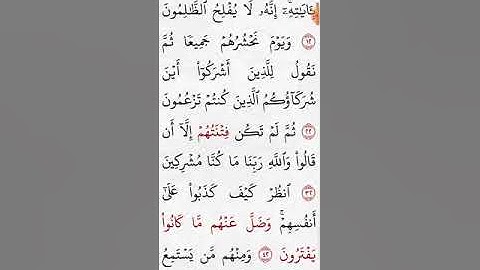 سورة الأنعام صفحة (١٣٠)