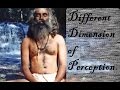 Sadhguru-What you perceive is what you know