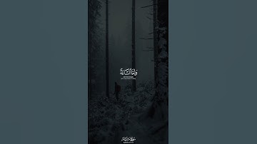 قُل مَن كانَ فِي الضَّلالَةِ فَليَمدُد لَهُ الرَّحمنُ مَدًّا | القارئ عبدالرحمن مسعد 🎙