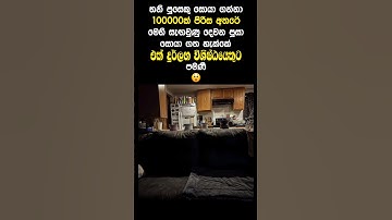 ONLY 1 IN 100,000 CAN SEE THE SECOND CAT — IS THAT YOU? 🐱👀 | #shorts #viral #fypシ #illusion #spot