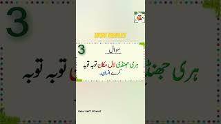 Urdu riddles اردو پہیلیاں easy riddles screenshot 5