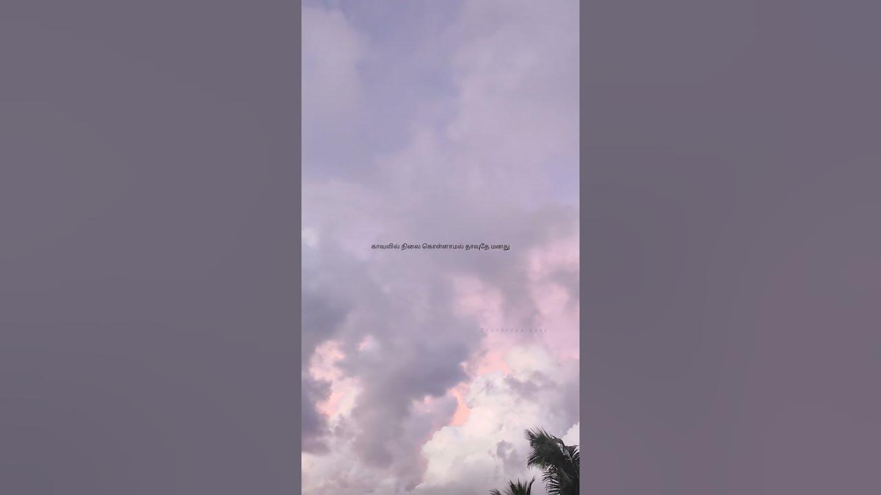 Panivizhum Iravu | Mouna Ragam | S. Janaki | S. P. Balasubrahmanyam | Ilayaraja Panivizhum Iravu | Mouna Ragam | S. Janaki | S. P. Balasubrahmanyam | Ilayaraja