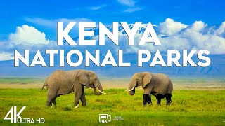 Download Lagu Top 10 mooiste nationale parken in Kenia - Reisvideo 2025 MP3