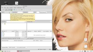 Access FTP server from Linux Mint 14