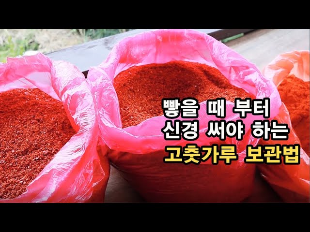 보관 고추 방법 가루 고추의 신선도를 보관 고추 방법 가루 국산 태양초