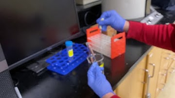 SJSU CHE163L biofuel part 8- Extract Biodiesel layer and unreacted material
