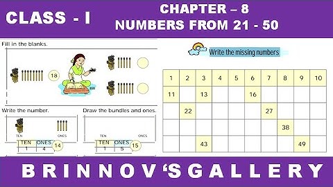 Class 1 | Maths | Chapter 8 | Numbers from 21 To 50 | NCERT  | Learn numbers | class 1 chapter 8