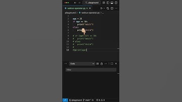 Walrus Operator in Python