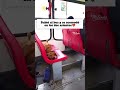 El único pasjero que ocupa dos asientos🤩#perrito #viajndo #bus #humor #tierno