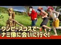 ONEPIECE 熊本復興プロジェクト ナミ像を見に行く！【コスプレ】