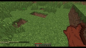 Wizardly Magic World Guard Bug v1.7.3